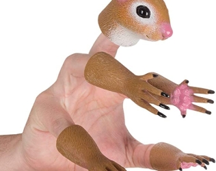 5 Finger Squirrel Puppet