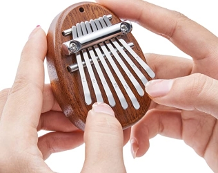 Thumb Piano