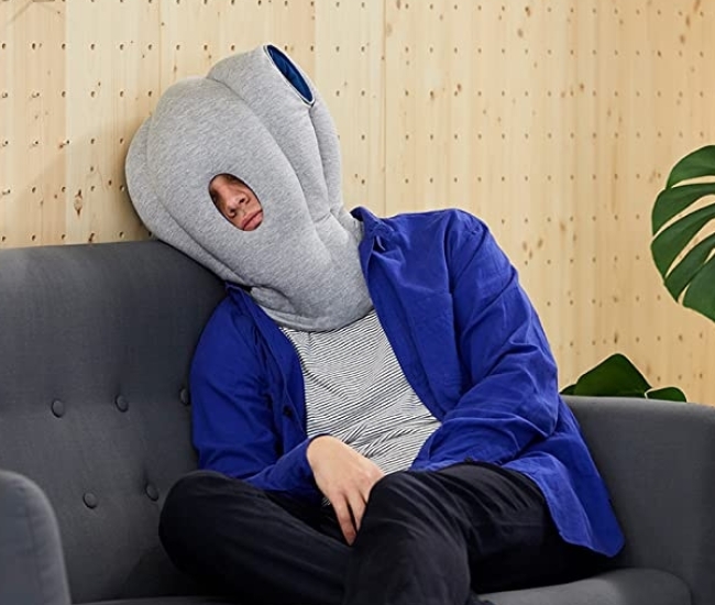 Ostrich Travelling Pillow