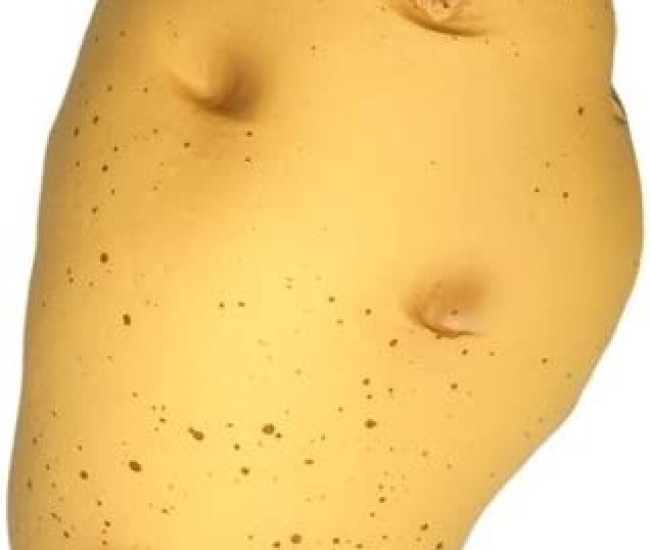 Potato Stress Toy