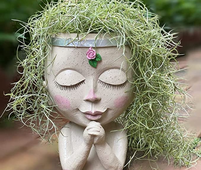 Unique Face Flower Pot Head