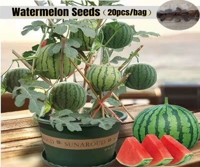 Edible Dwarf Watermelon Se...