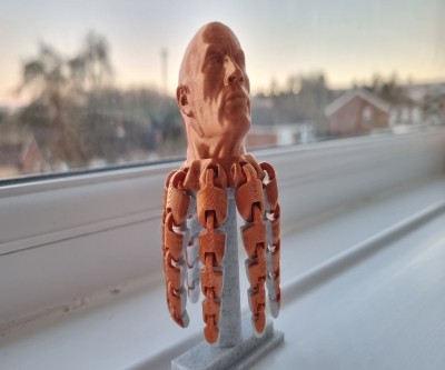 Rocktopus Fidget Toy