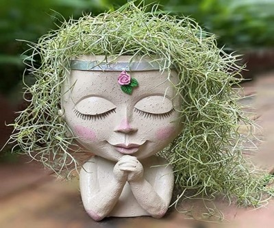 Unique Face Flower Pot Head